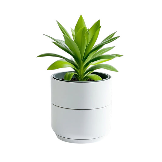 Mopla Self-Watering Planter - Double-Layer Structural Design - Water Level Indicator - Matte White - Professional Grade Indoor Pot