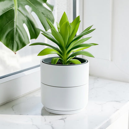 Mopla Self-Watering Planter - Double-Layer Structural Design - Water Level Indicator - Matte White - Professional Grade Indoor Pot